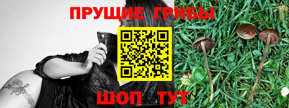 Магадан  Псилоцибиновые грибы Magic Shrooms  Вход с VPN 